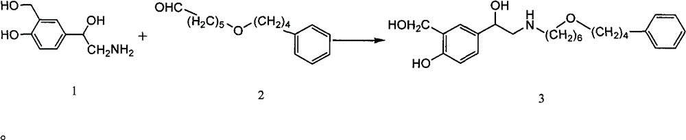 Preparation method for salmeterol