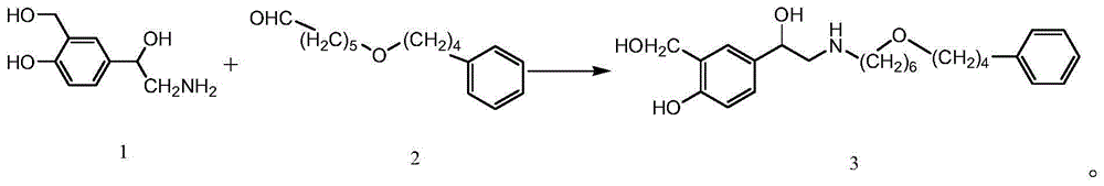 Preparation method for salmeterol