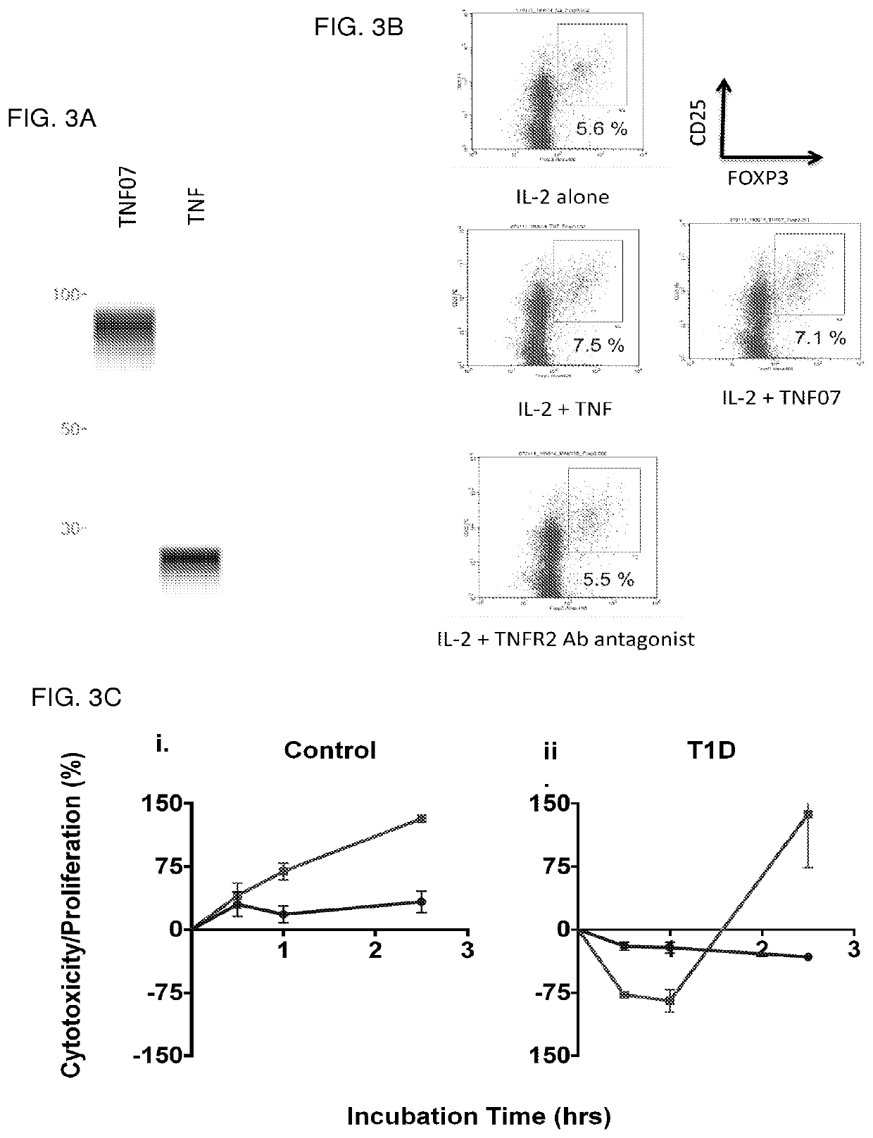 Tumor necrosis factor superfamily and tnf-like ligand muteins and methods of preparing and using the same