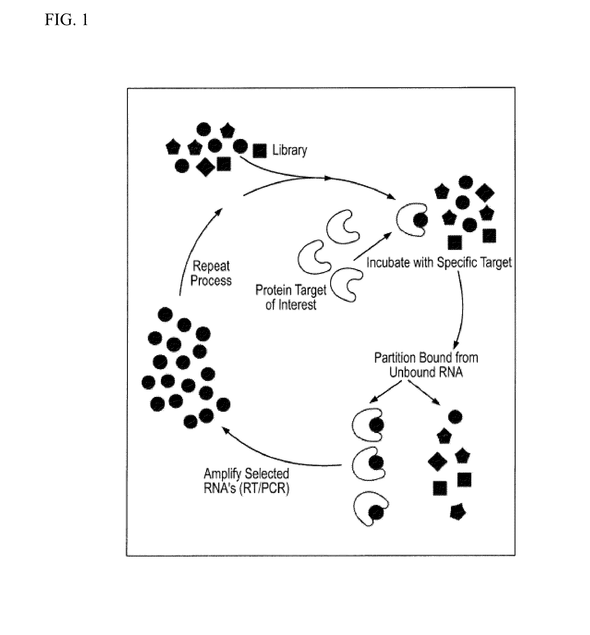 Nucleic acid modulators of glycoprotein vi