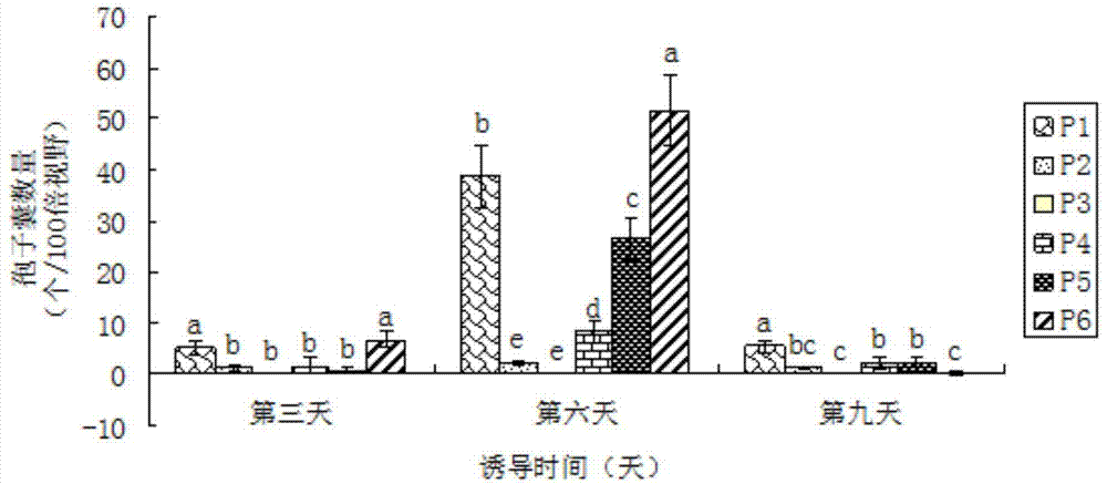 Culture medium for prompting Phytophthora capsici Leonian to generate zoosporangium