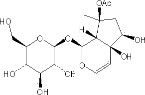 High-efficiency preparation method for acetyl harpagide reference standard product