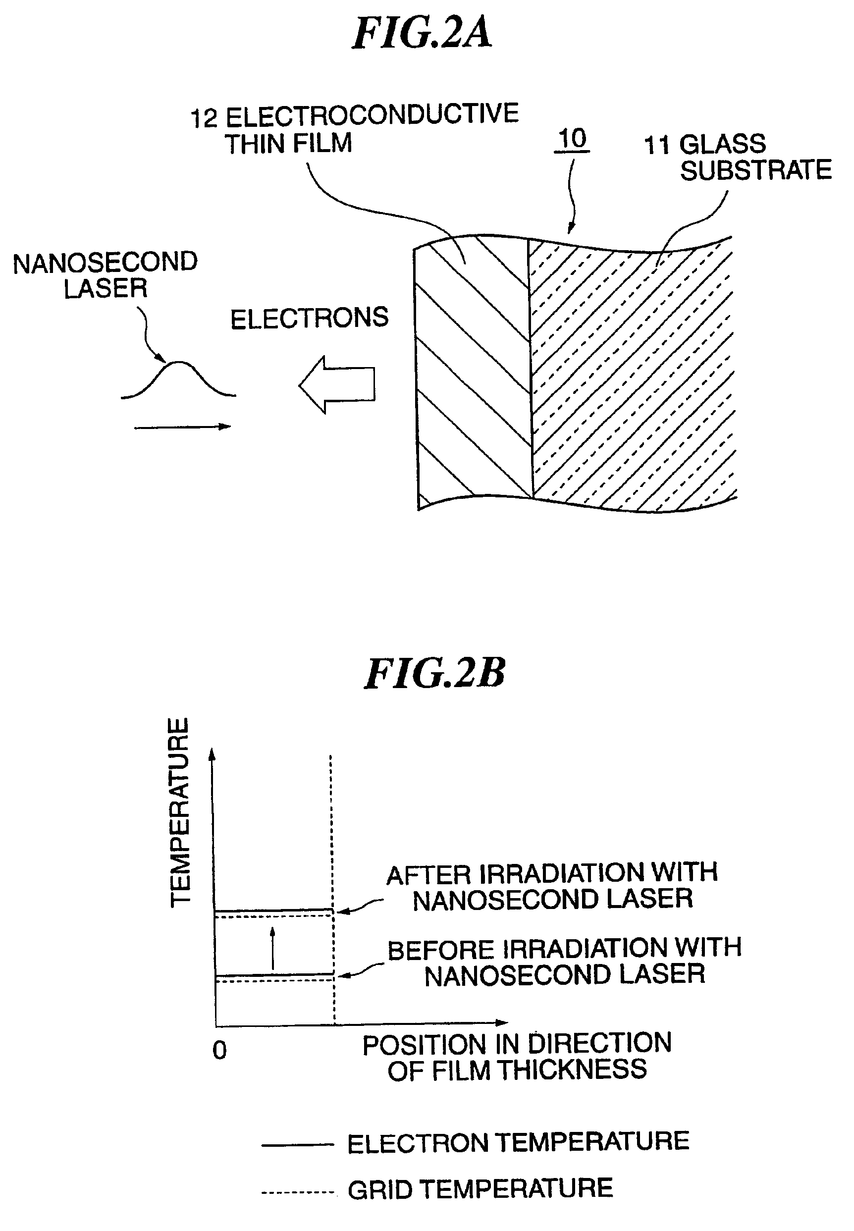 Method for electrodeposited film formation, method for electrode formation, and apparatus for electrodeposited film formation