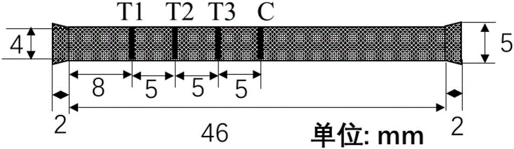 Immunochromatography device for synchronously and quantitatively detecting different molecular forms of human neutrophil lipocalin (HNL) and preparation method thereof