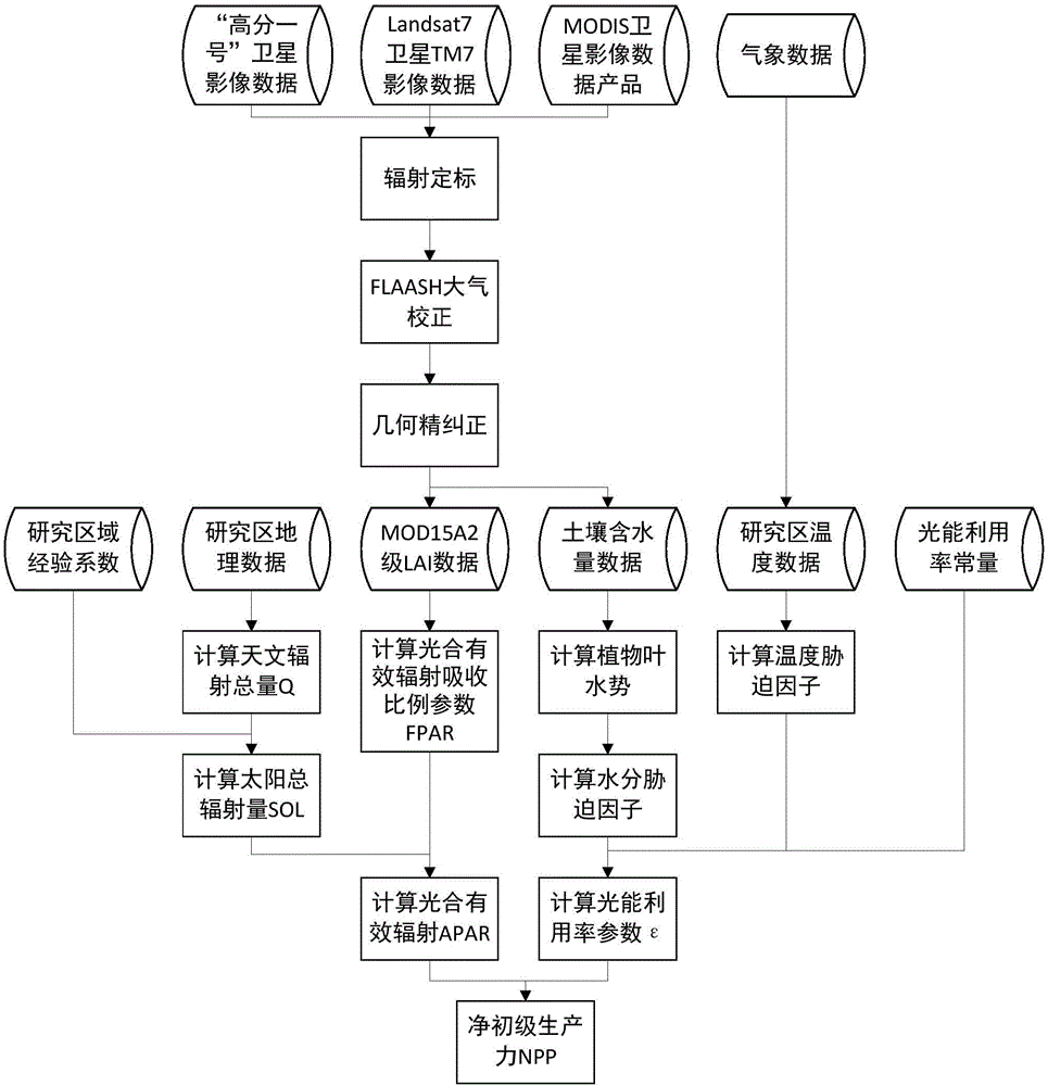 Method for remote sensing estimation of net primary productivity of plants