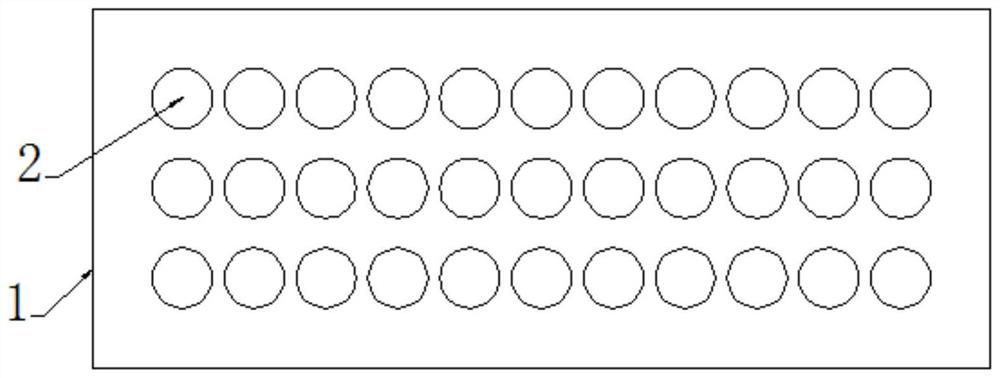 Device and method for high-throughput screening of active strains with potential biological anti-corrosion function