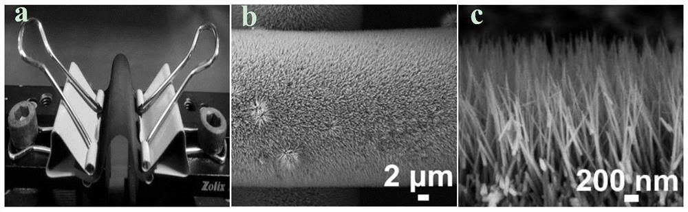 Flexible iron niobate nanowire array electrode and preparation method and application thereof