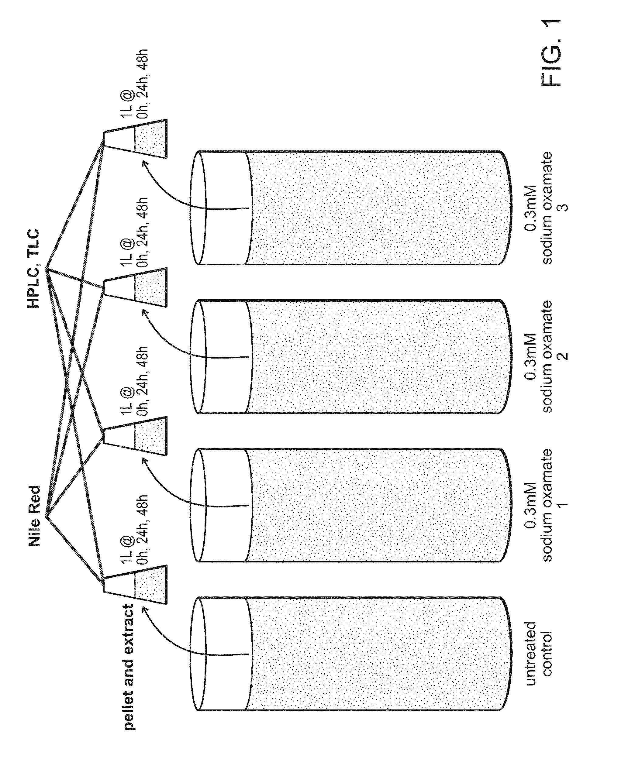 Methods and products for generating oils