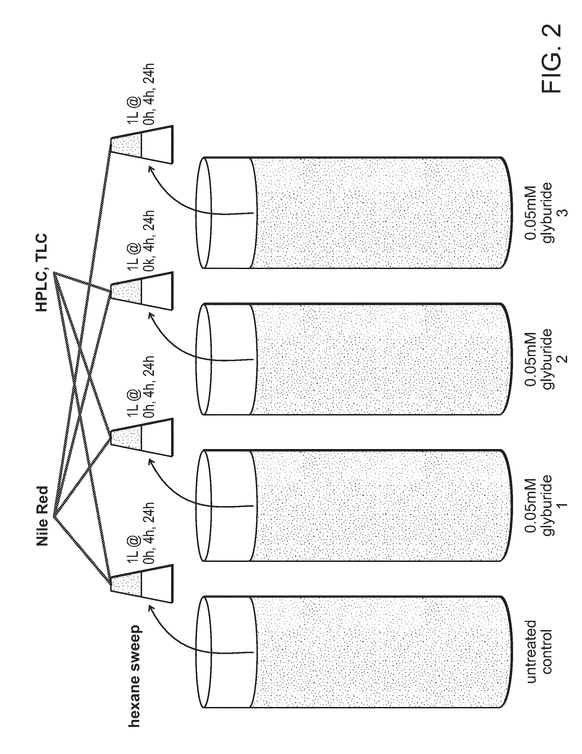 Methods and products for generating oils