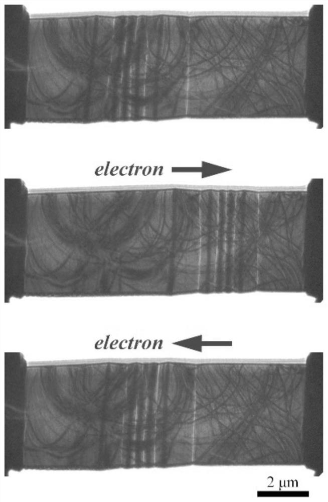 Method for measuring spin polarizability of magnetic material