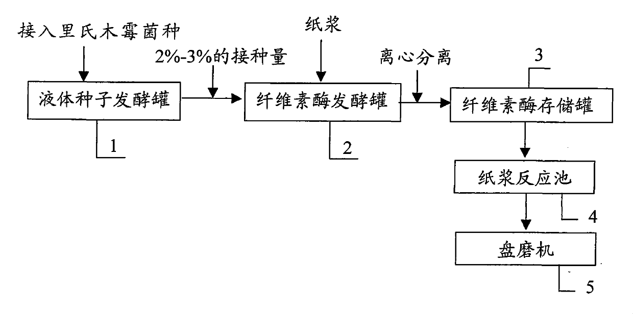 Trichoderma reesei liquid submerged fermentation cellulase and enzymatic beating process thereof