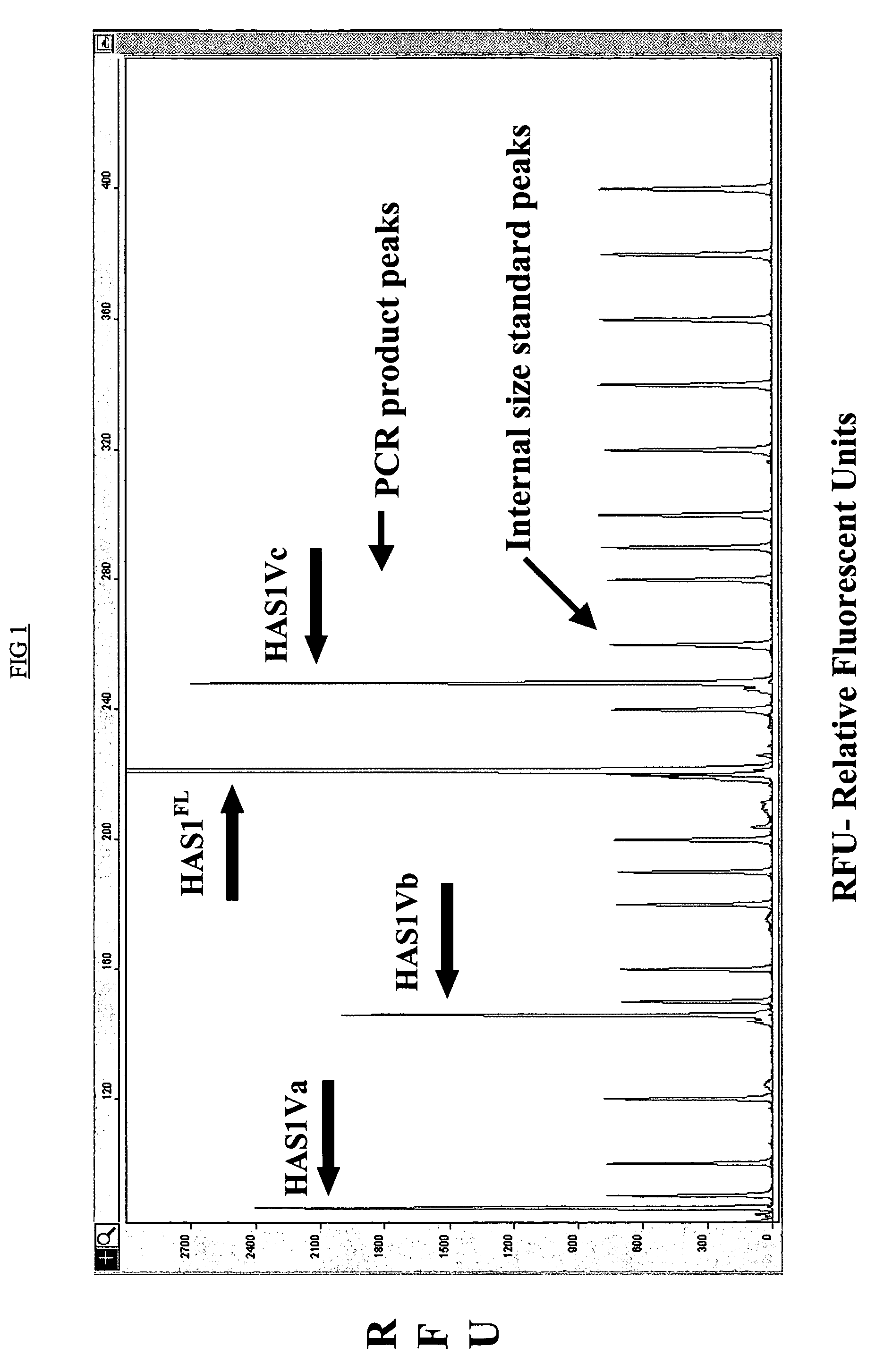 Cancer monitoring and therapeutics