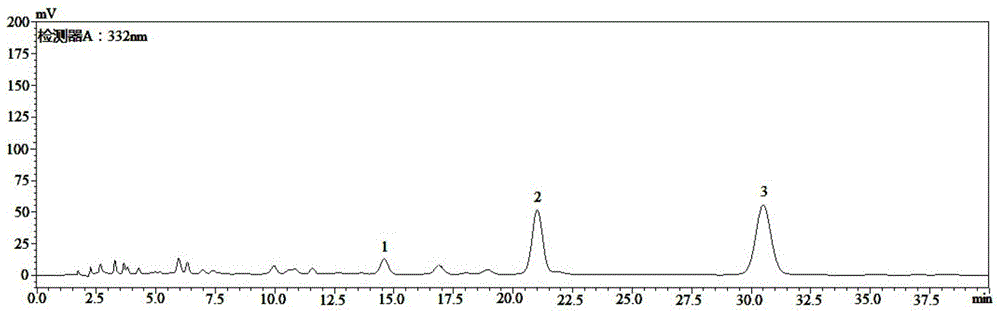 Callicarpa nudiflora extract containing phenylethanoid glycoside and preparation method thereof