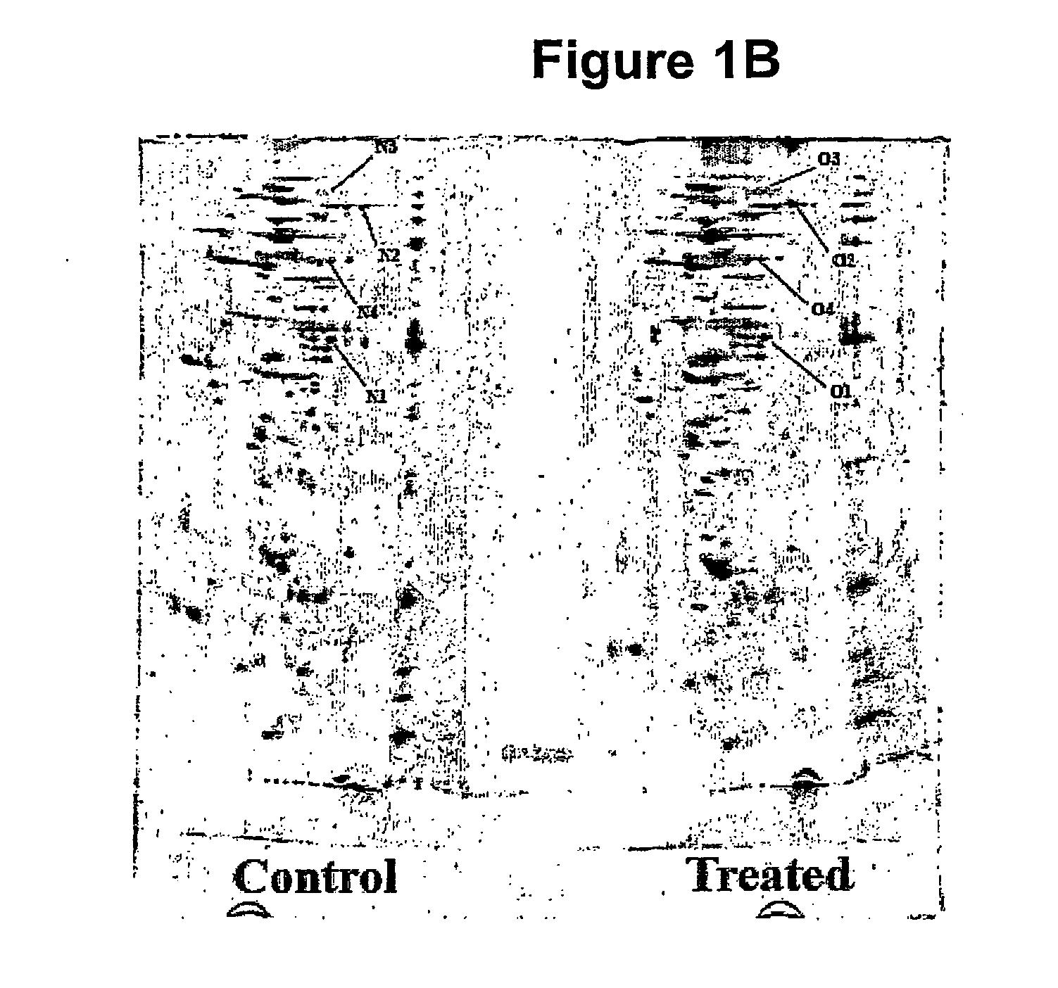 Methods for determining the redox status of proteins