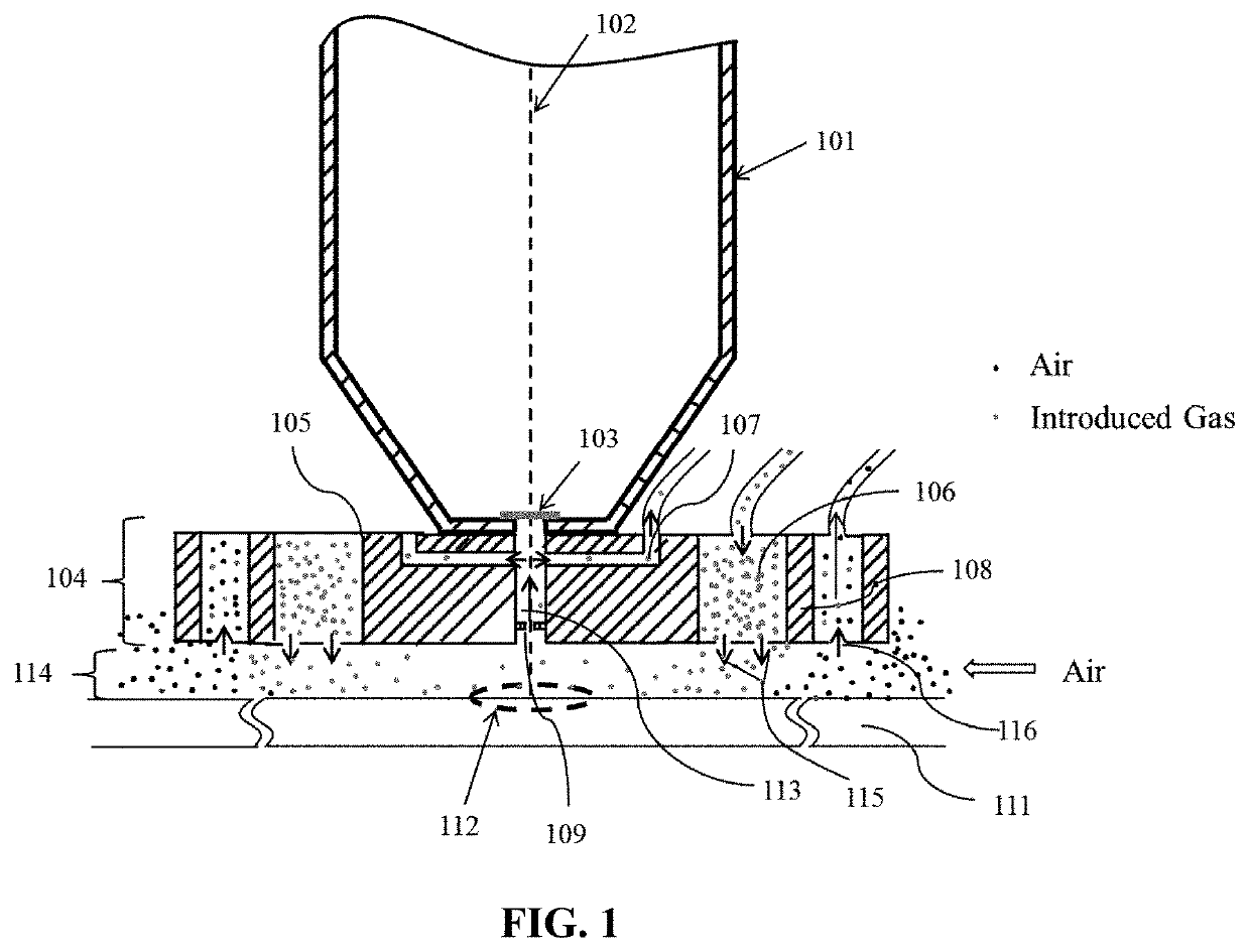 Vacuum condition controlling apparatus, system and method for specimen observation