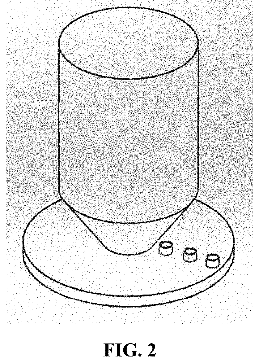 Vacuum condition controlling apparatus, system and method for specimen observation