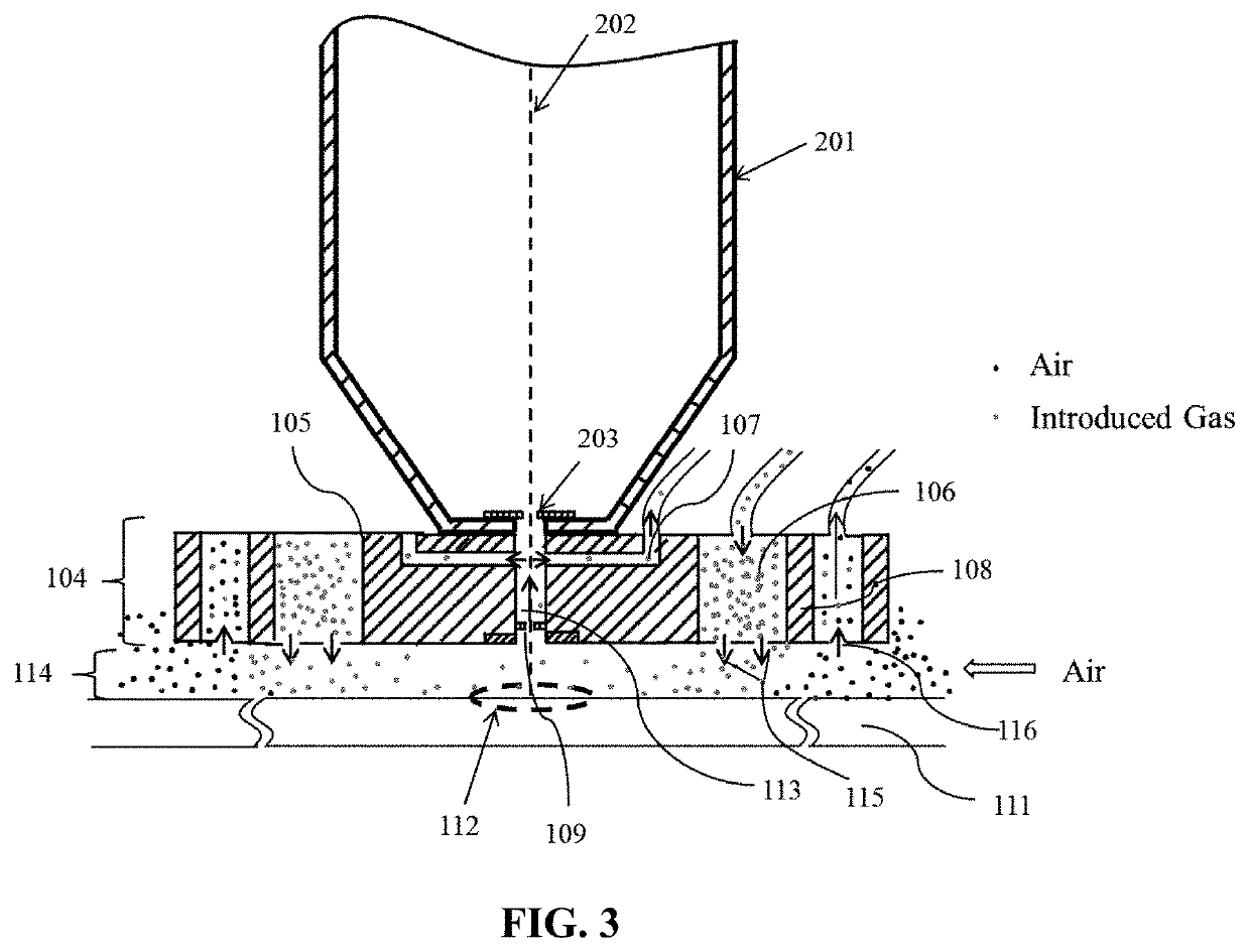 Vacuum condition controlling apparatus, system and method for specimen observation