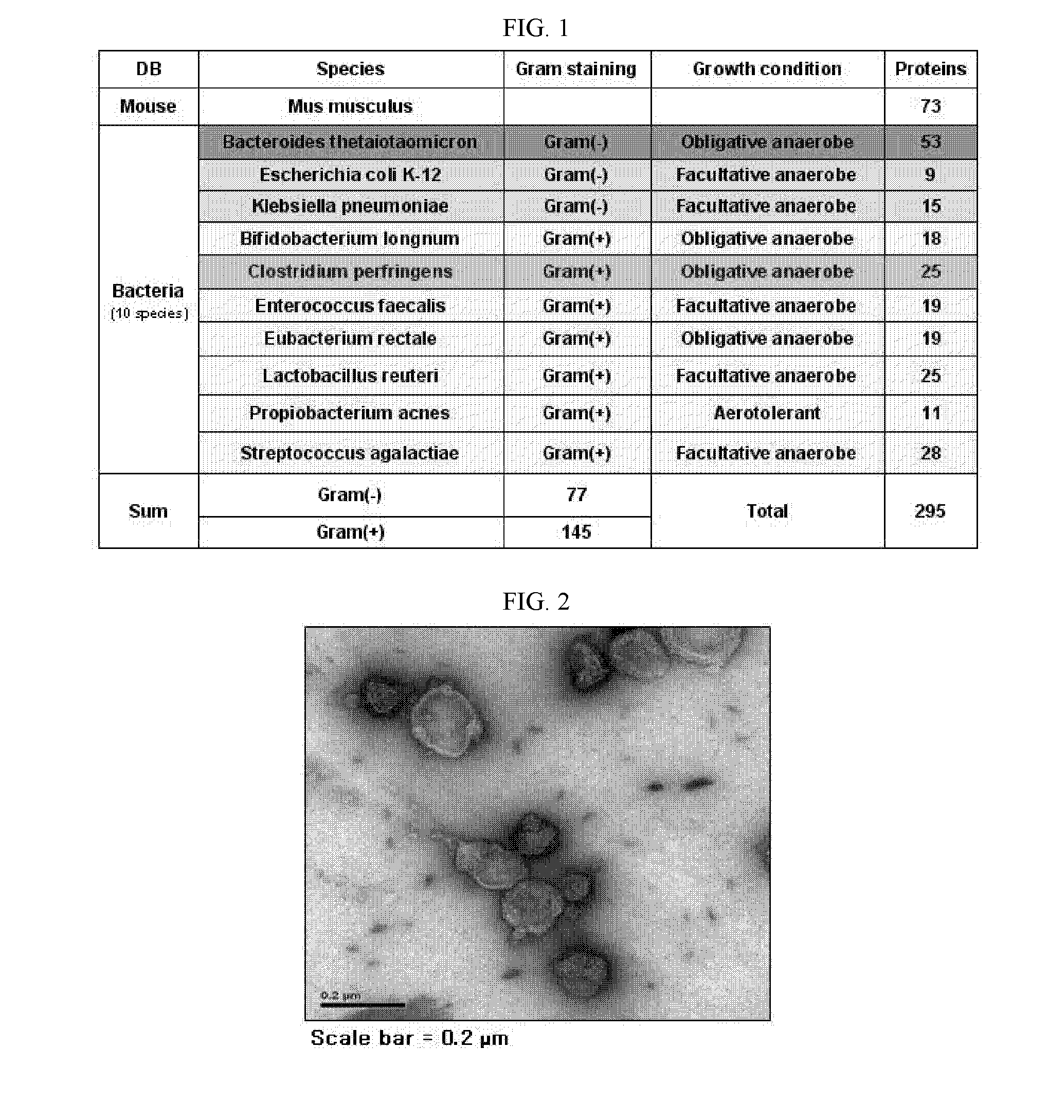 Gut flora-derived extracellular vesicles, and method for searching for a disease model, vaccine, and candidate drug and for diagnosis using the same