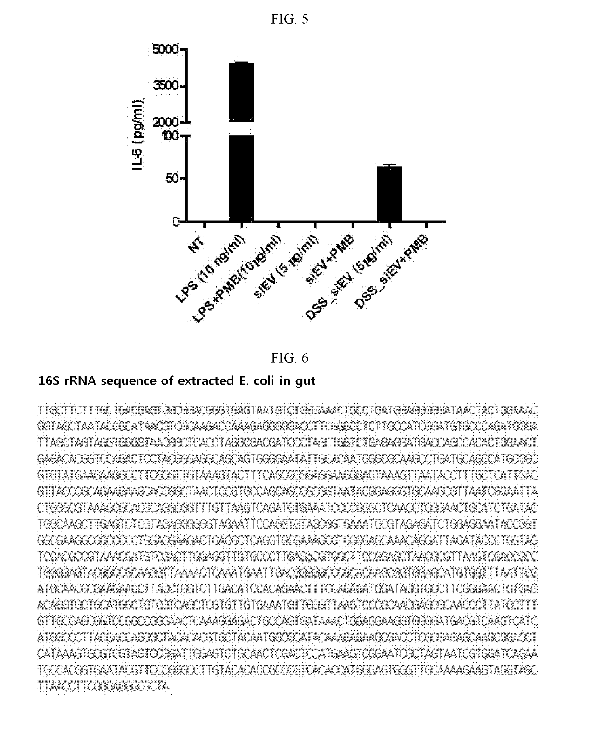 Gut flora-derived extracellular vesicles, and method for searching for a disease model, vaccine, and candidate drug and for diagnosis using the same