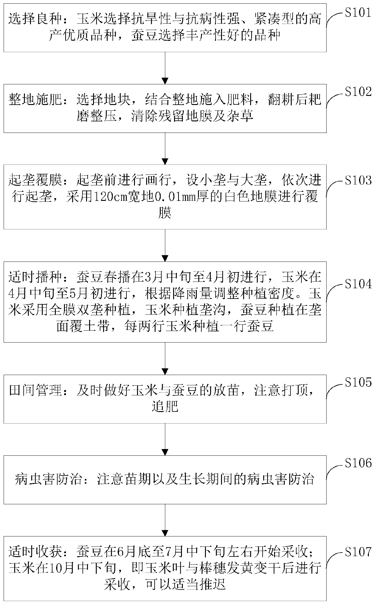 High-yield cultivation method for interplanting corn with broad bean in dry farming area