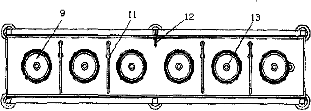 Dynamic running water type toxicity test device of fishes