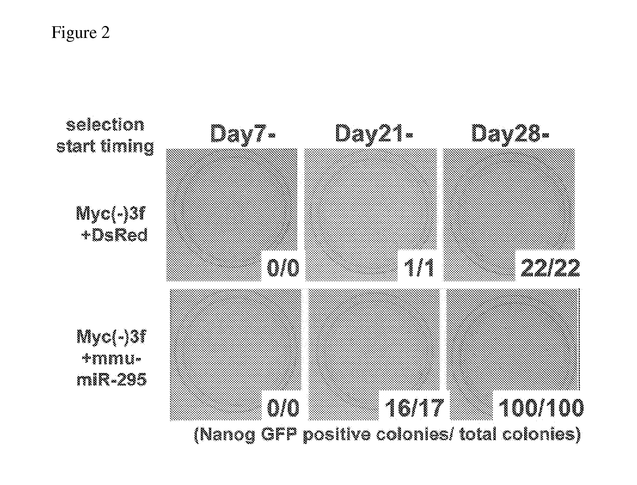 Efficient method for nuclear reprogramming