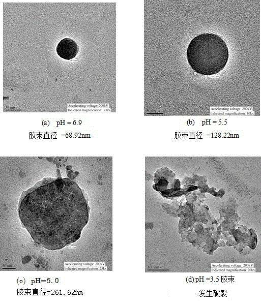 Preparation method of grafted cellulose medicinal molecule with pH/temperature responsiveness