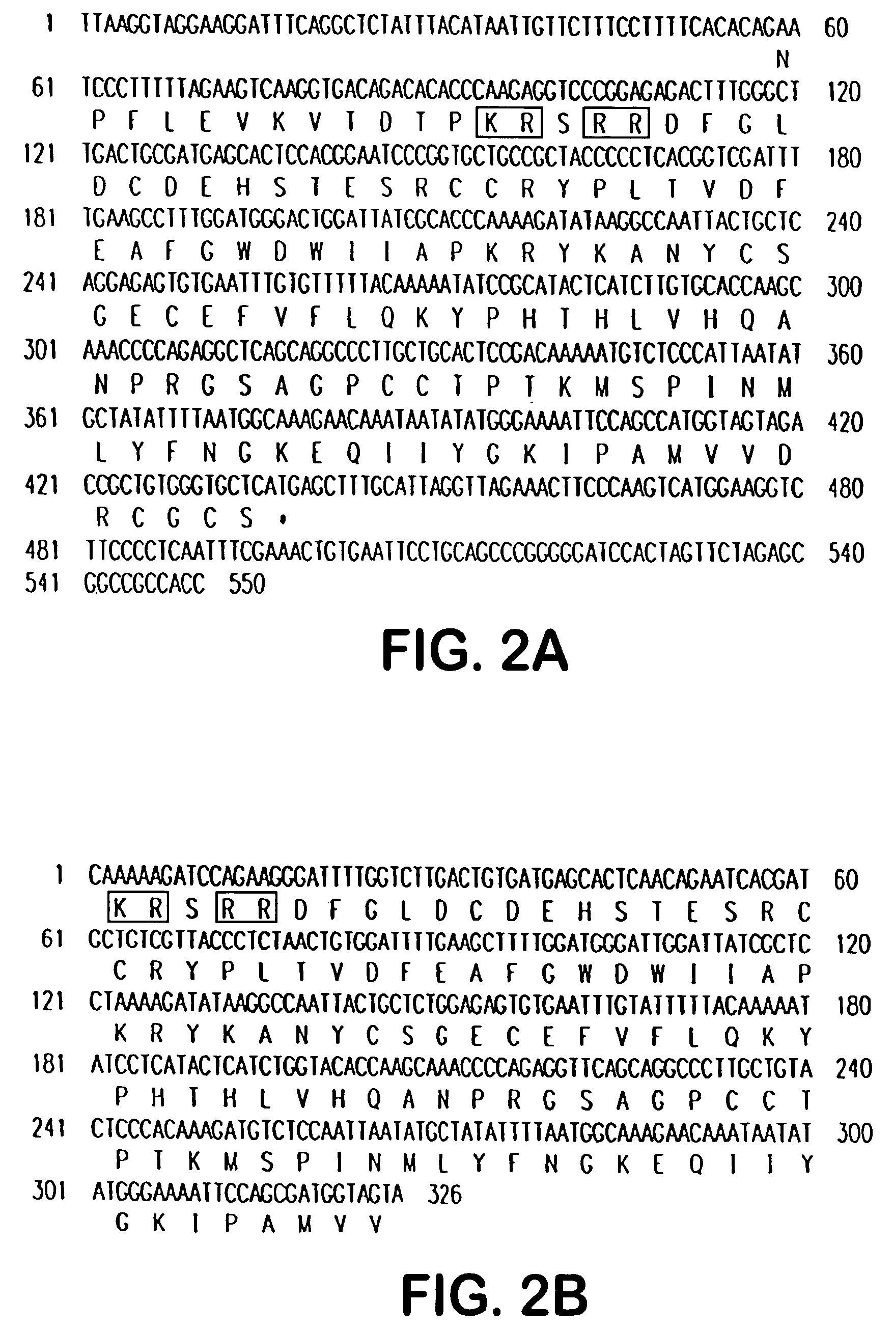 Growth differentiation factor-8