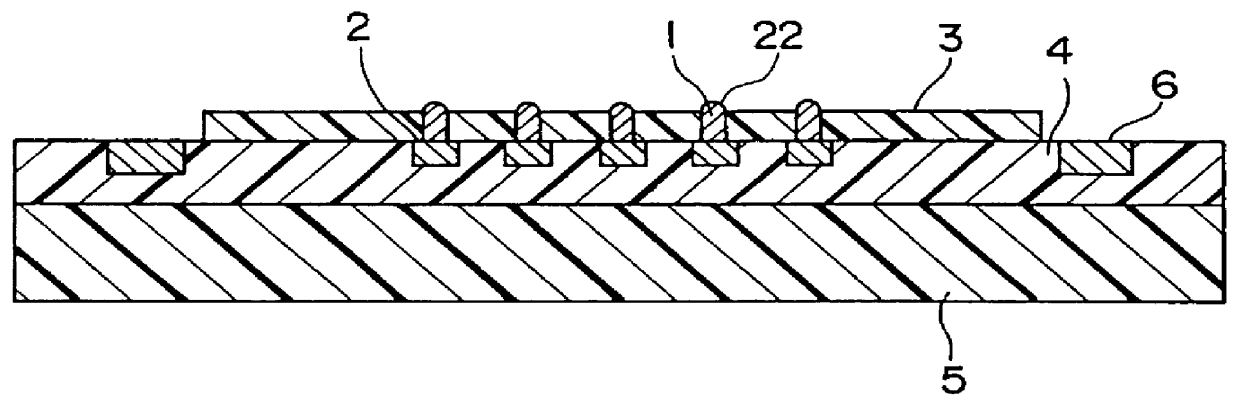 Wiring board for electrical tests with bumps having polymeric coating