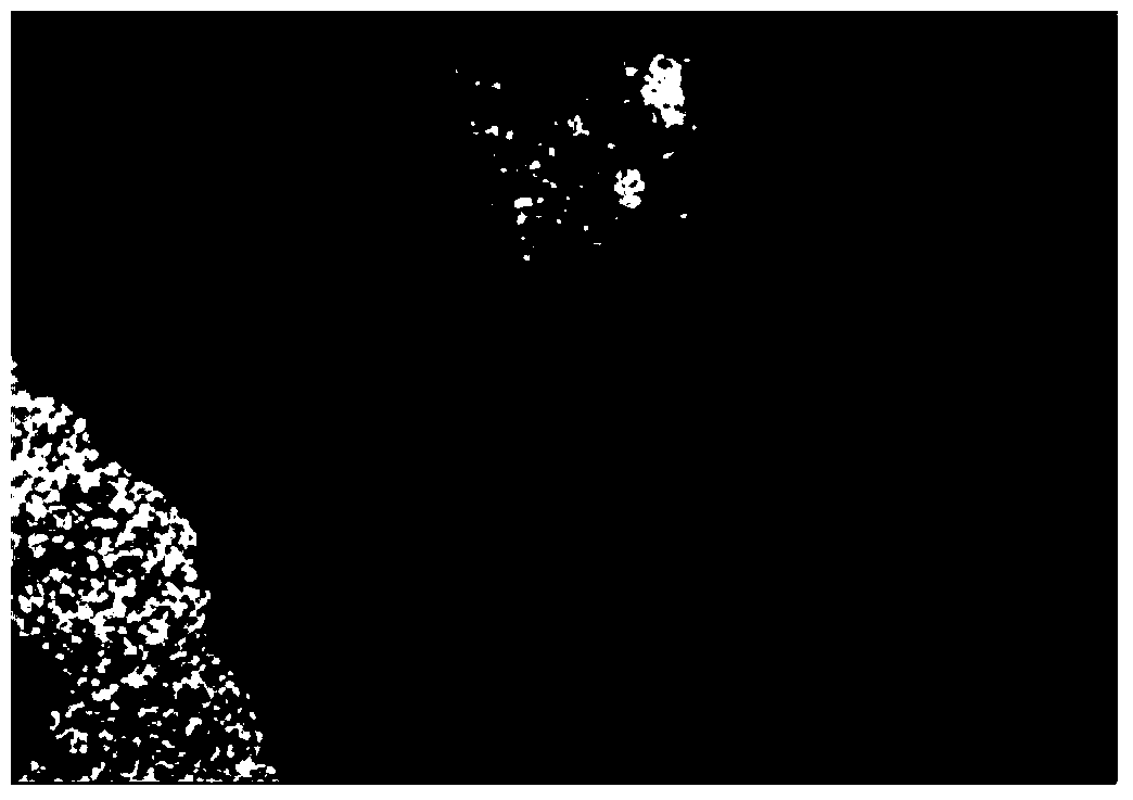 Single clone antibody aiming at H3N2 dog flu virus HA2 protein