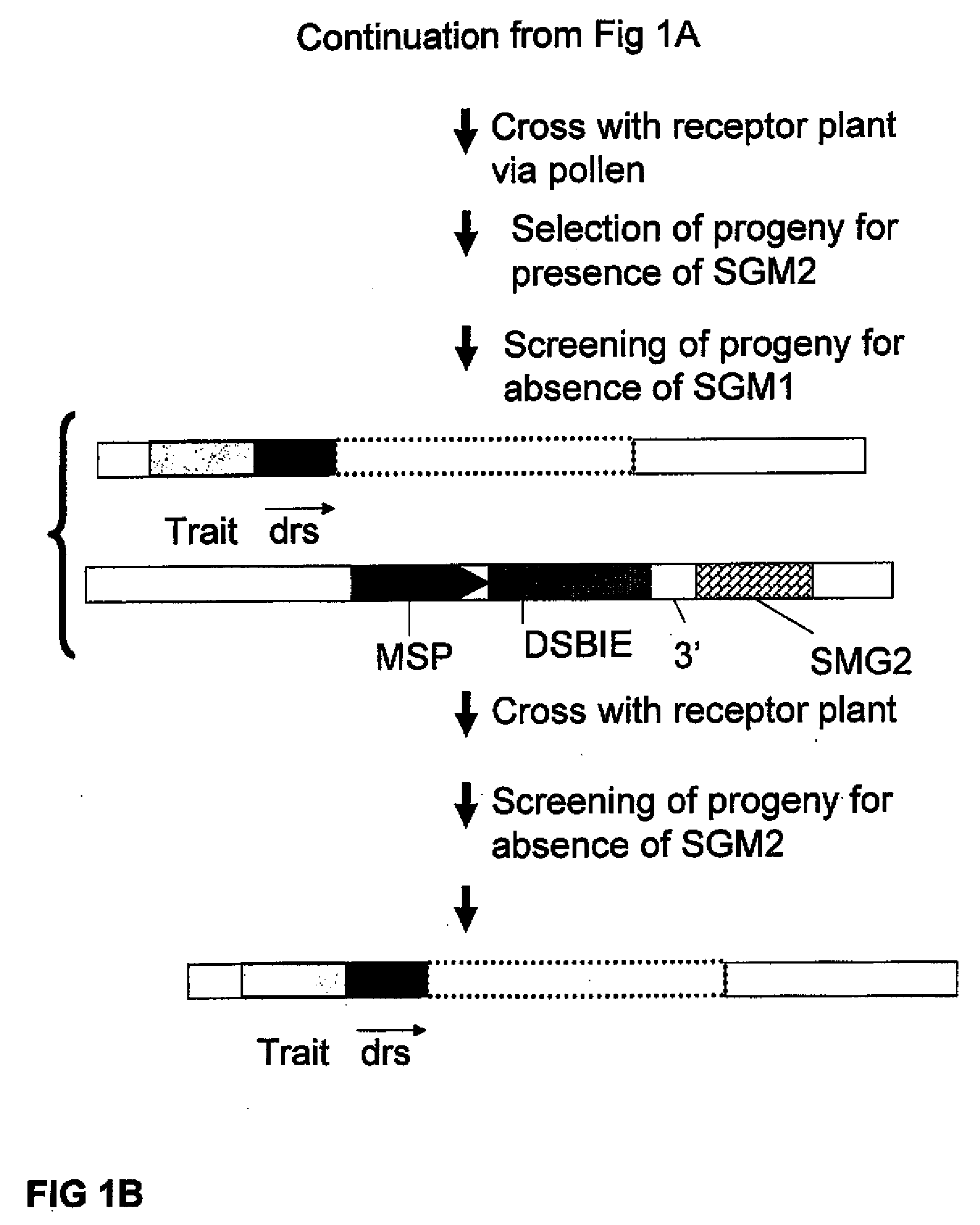 Methods and means for removal of a selected DNA sequence