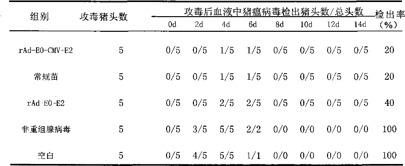 Recombinant adenovirus expressing E0, E2 gene of classical swine fever virus