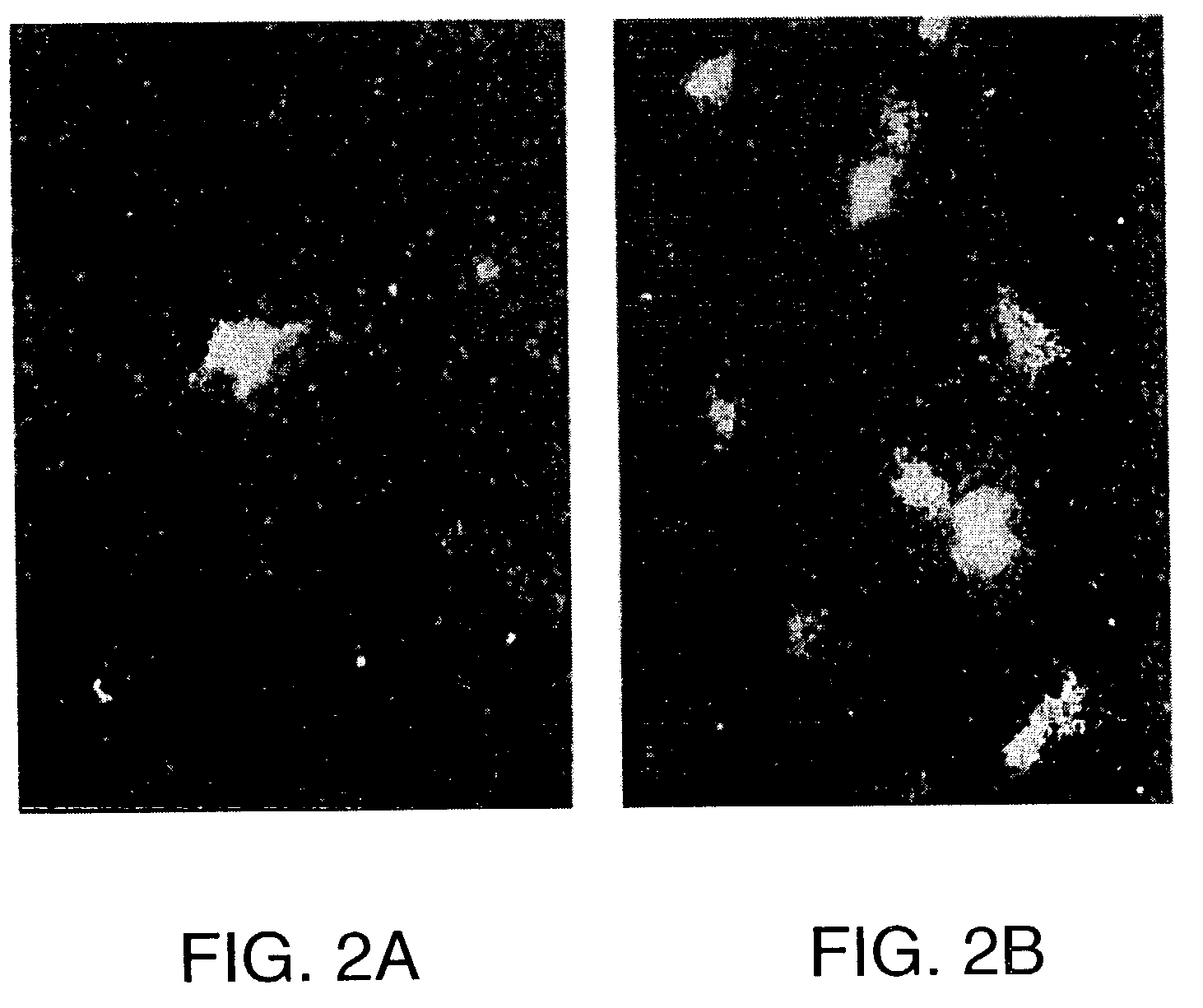 Soluble inhibitors of vascular endothelial growth factor and use thereof