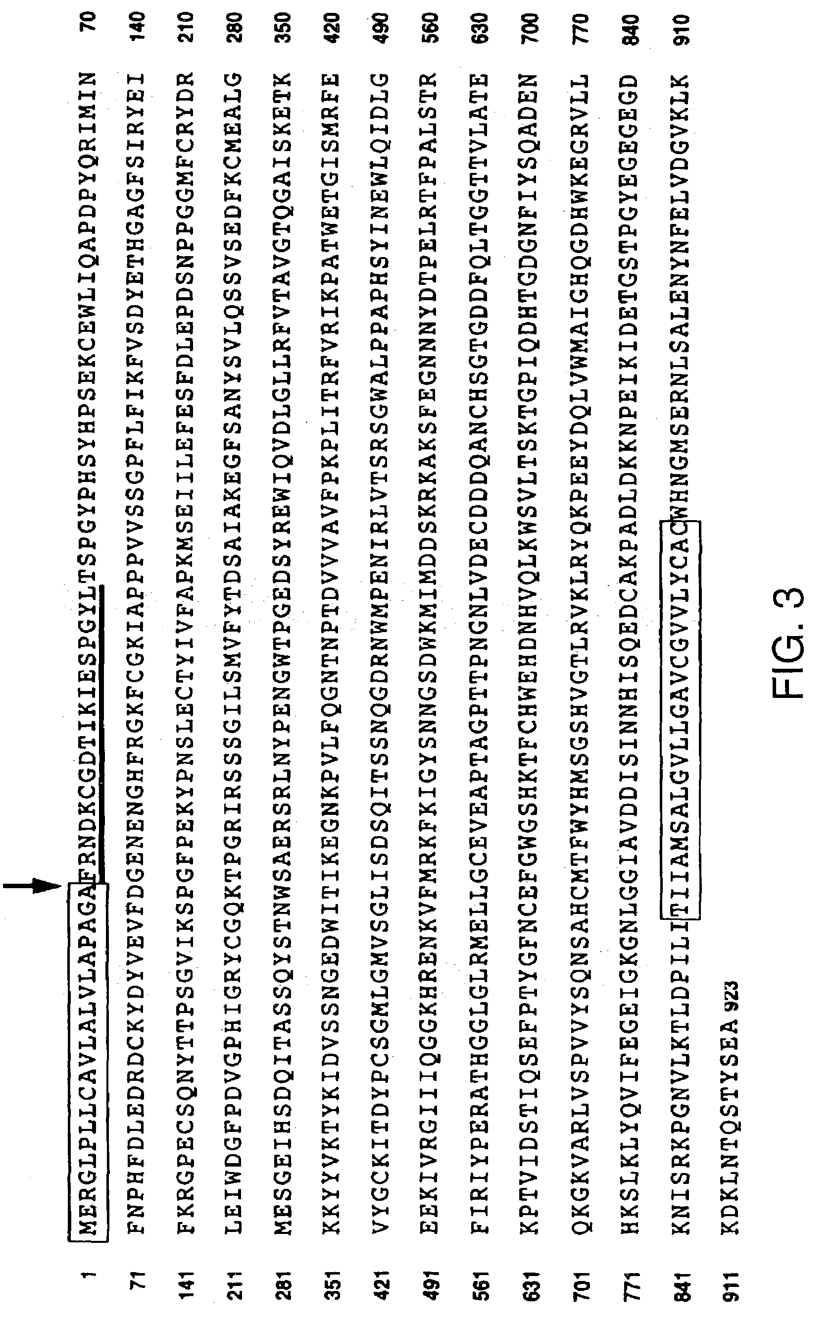 Soluble inhibitors of vascular endothelial growth factor and use thereof