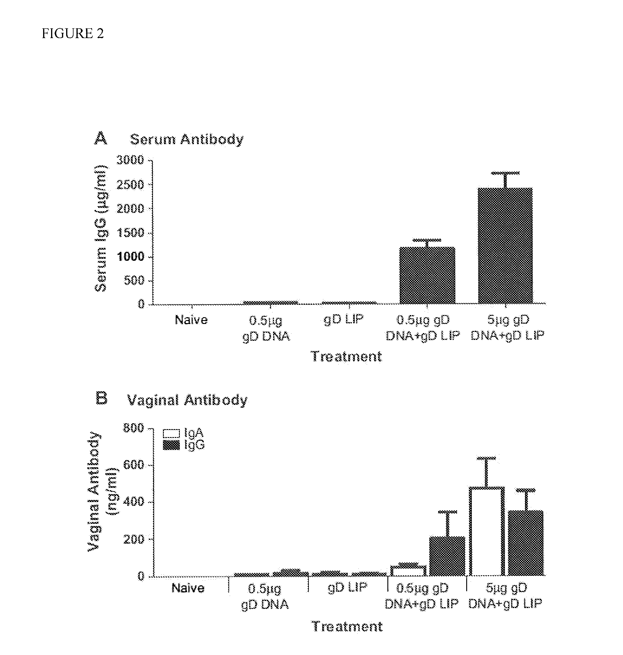 Novel mucosal vaccination approach for herpes simplex virus type-2