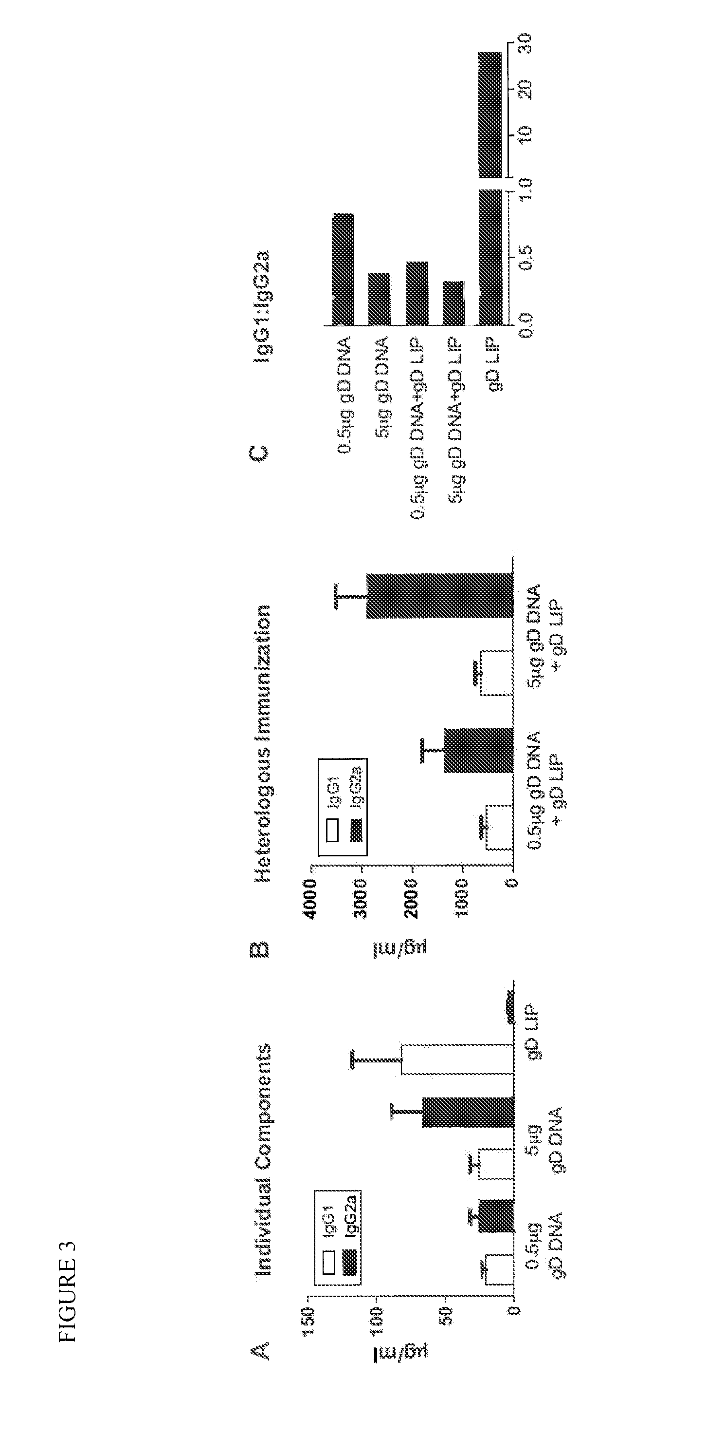 Novel mucosal vaccination approach for herpes simplex virus type-2