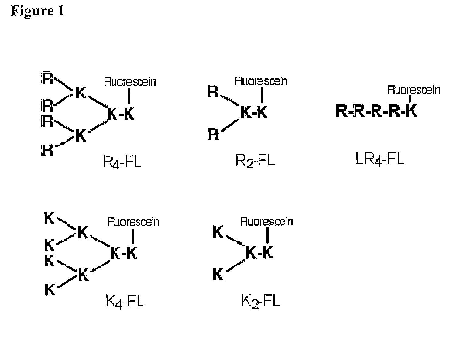 Method of transfection and compositions therefor