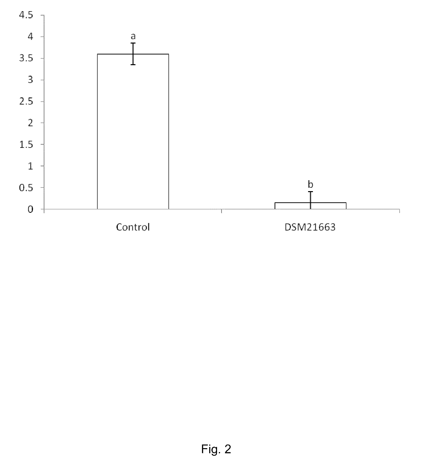 Pseudomonas Bacterium