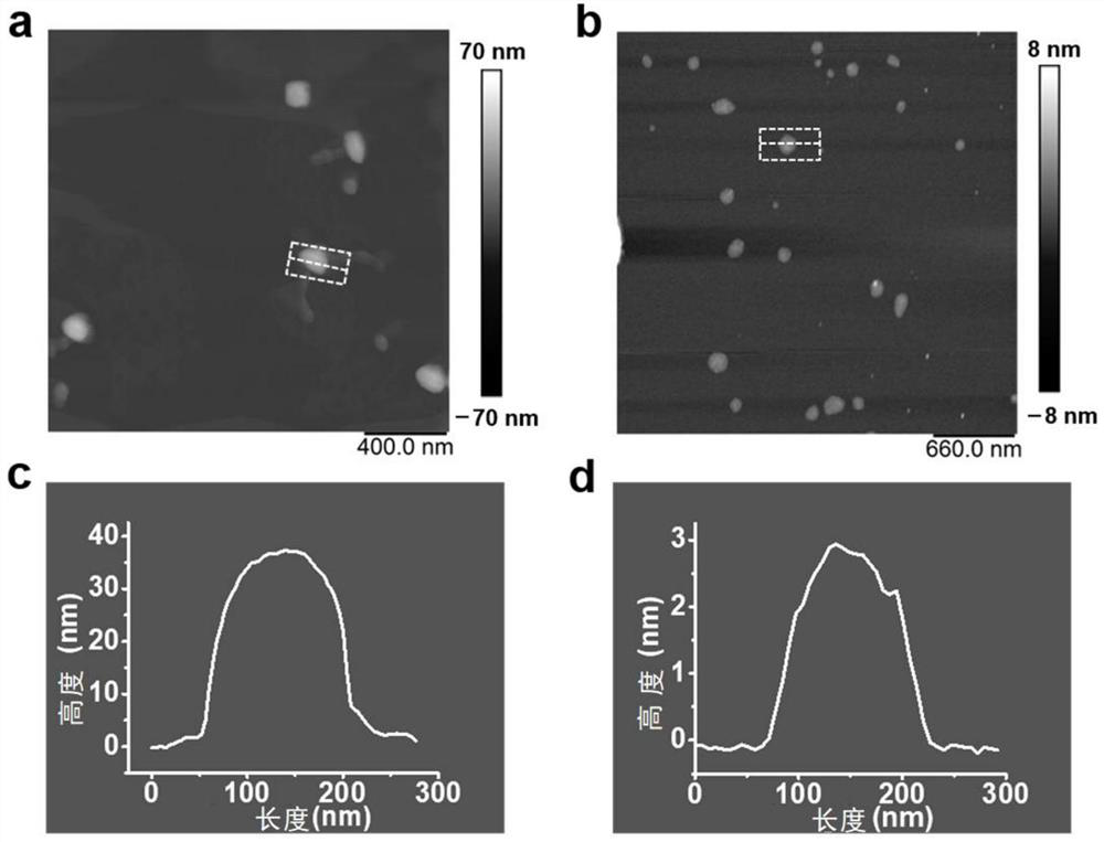 Applications of covalent organic nanosheet materials