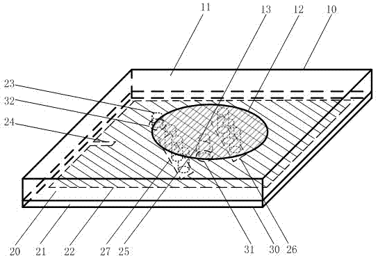 Double-frequency and double-polarization antenna capable of operating in compass satellite navigation system and mobile third-generation (3G) network