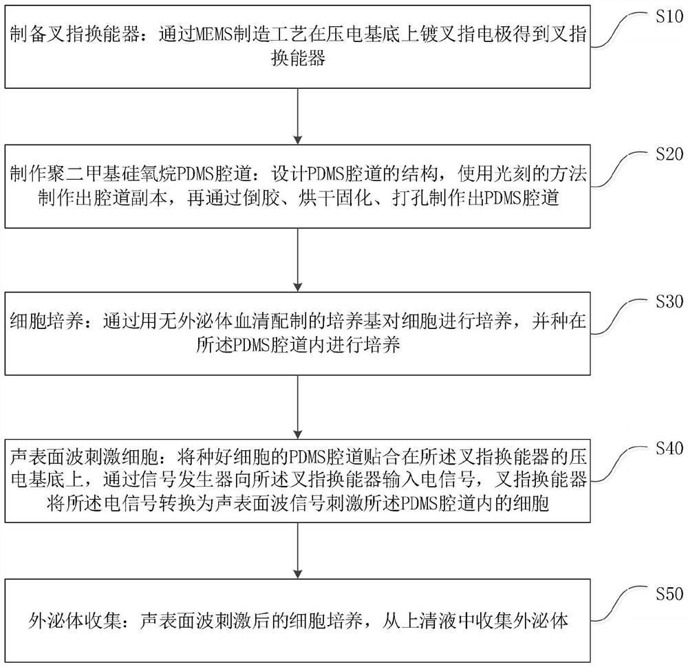 Equipment and method for stimulating secretion of cell exosomes, obtained exosomes and application of exosomes