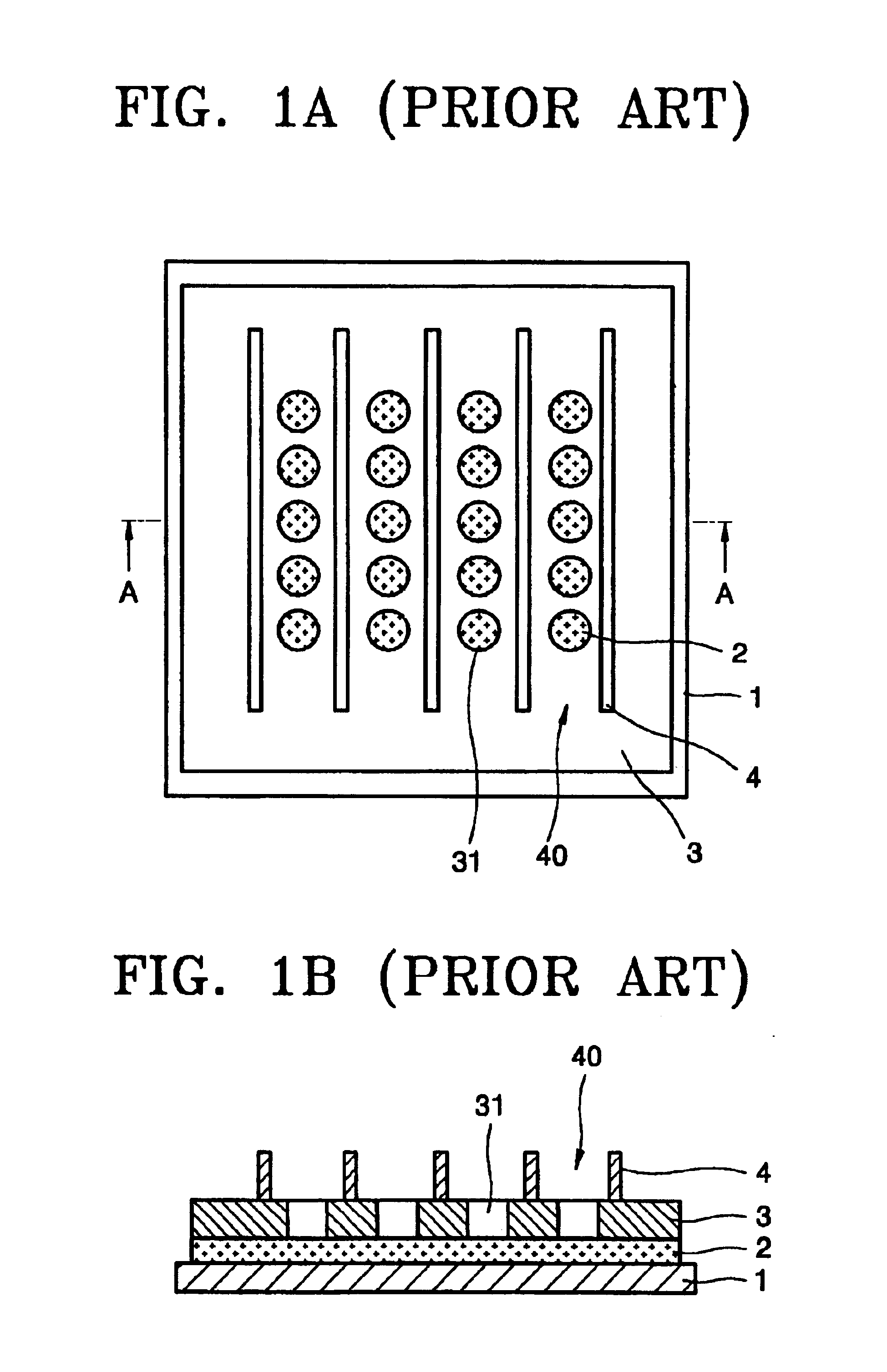 Organic light emitting diode and method for producing the same