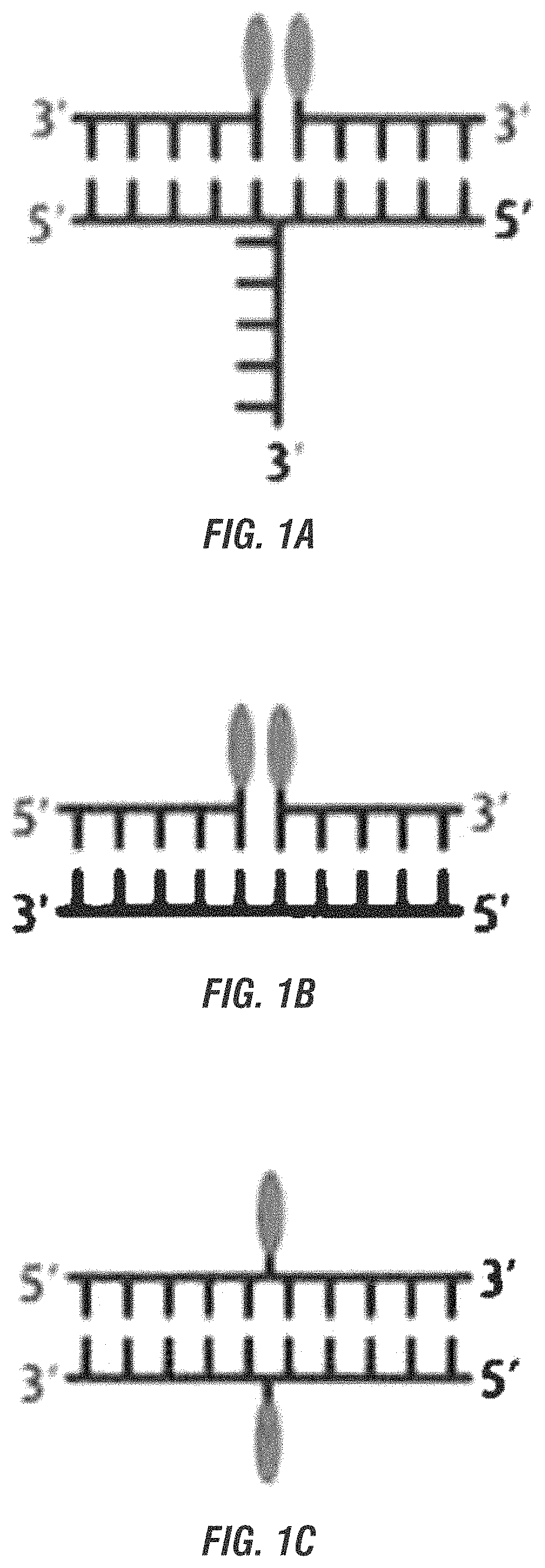 DNA ink—near-field absorption coupling for colorimetric detection, DNA ink, chromic photoswitches, and chromic molecular ruler