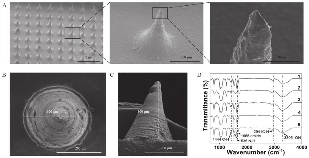 Exosome-loaded GelMA hydrogel microneedle as well as preparation method and application thereof