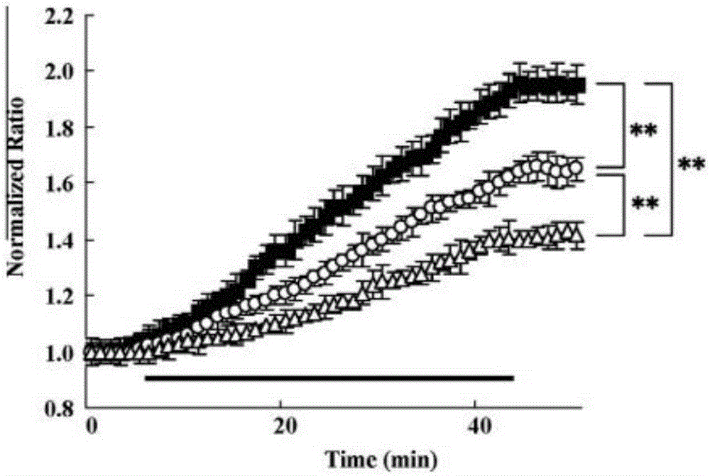 [Ca2+] i reduction of CaV2 1 alpha 1 gene mutation mice in in-vitro ischemia model