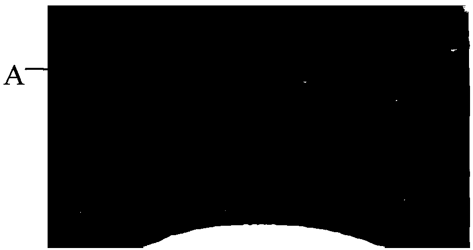 Screening method for piglet intestinal-function protection agent