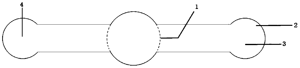 Fruit fly trapping agent containing grape terpenoids, and application thereof