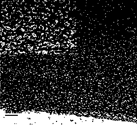 Preparation method of super-lubricity amorphous carbon film with nano-structure