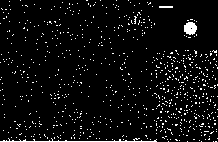 Preparation method of super-lubricity amorphous carbon film with nano-structure