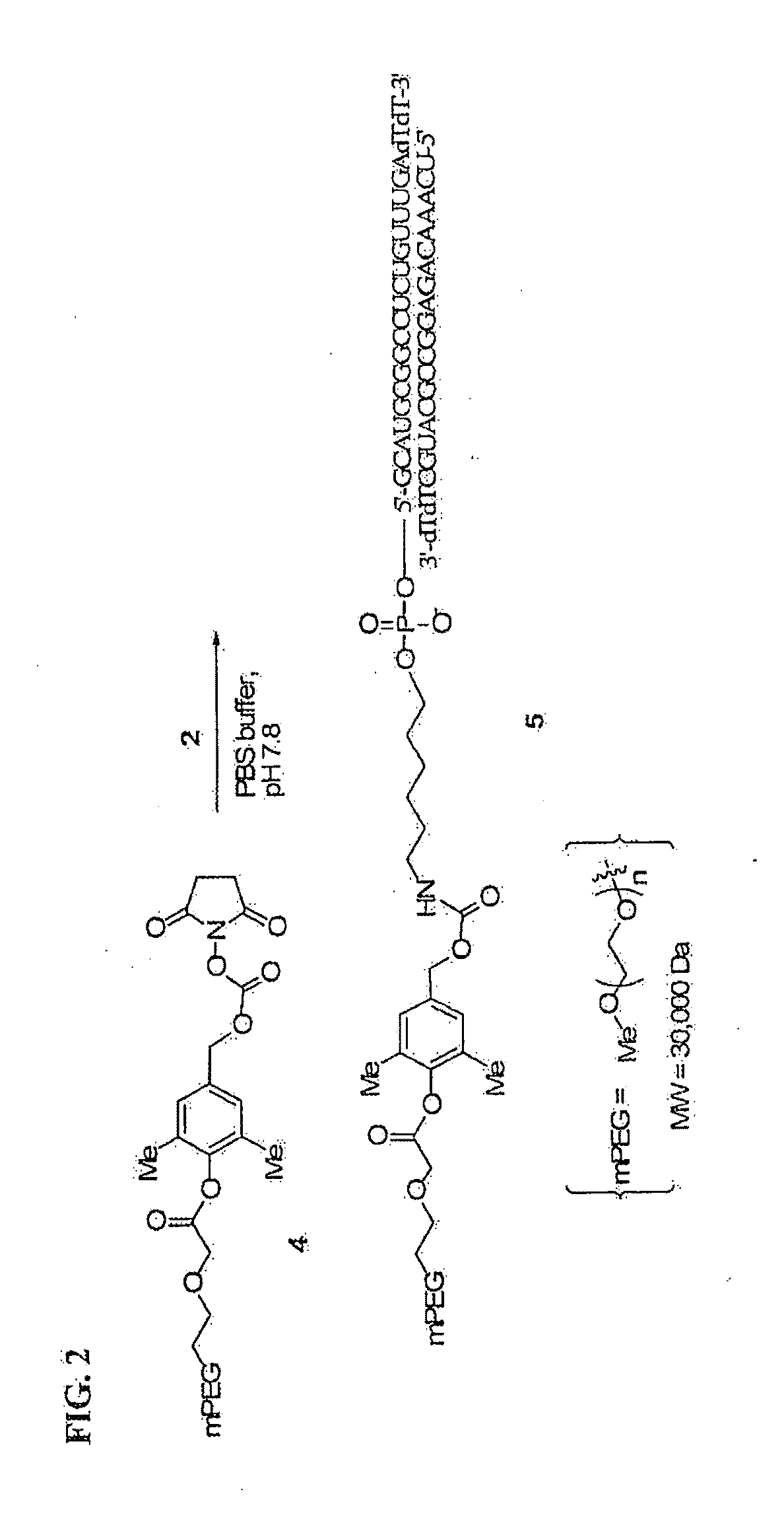 Polymeric short interfering RNA conjugates